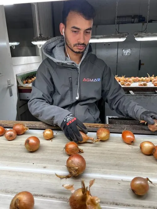 sortowanie